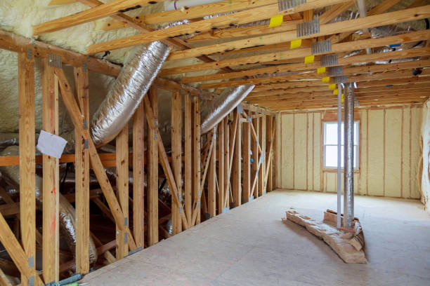 Best Insulation Repair Services  in Walsenburg, CO