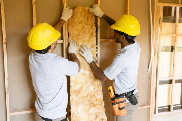 Best Best Insulation Companies  in Walsenburg, CO