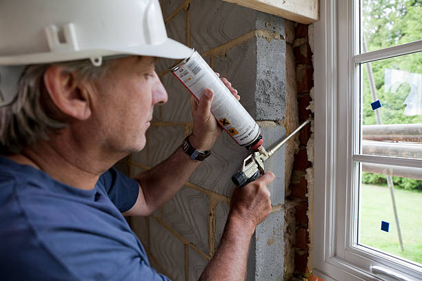 Best Home Insulation Services  in Walsenburg, CO