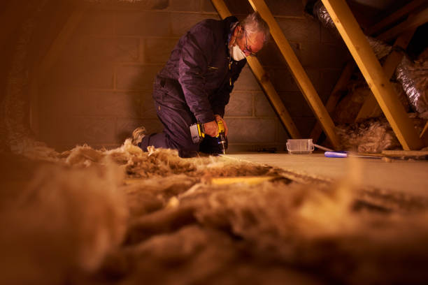 Best Residential Insulation Services  in Walsenburg, CO