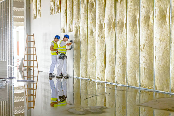 Best Spray Foam Insulation  in Walsenburg, CO